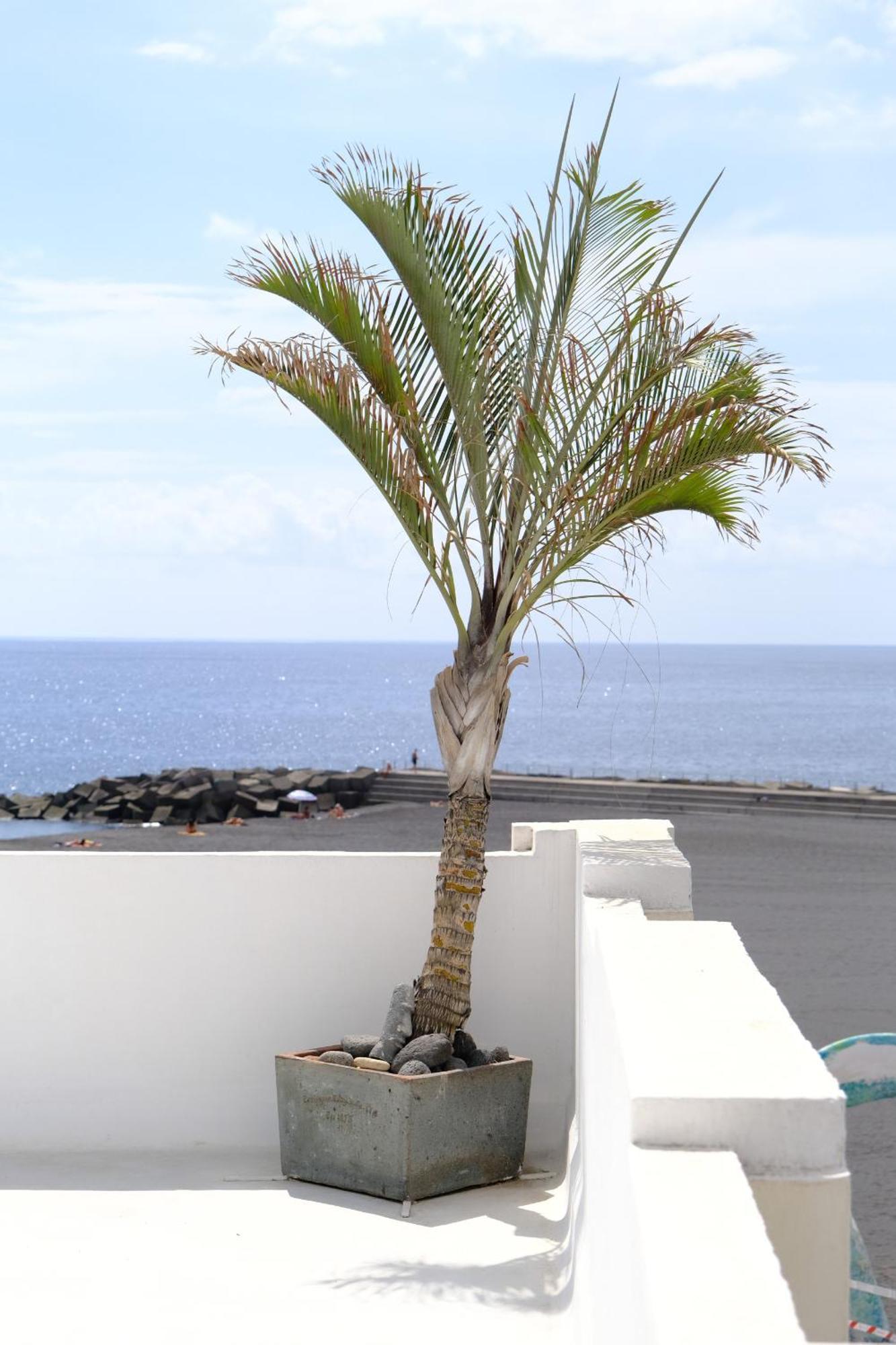 Rooftop Dreamhouse - 3br With Seaviews Holiday home Santa Cruz de la Palma (Isla de la Palma)
